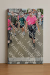 Evenement foto: Nijmeegse Vierdaagse 939