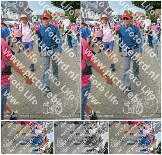 Evenement foto: Nijmeegse Vierdaagse 939