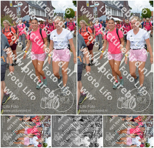 Evenement foto: Nijmeegse Vierdaagse 938