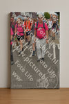 Evenement foto: Nijmeegse Vierdaagse 938