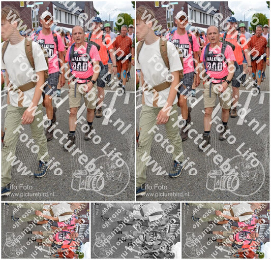 Evenement foto: Nijmeegse Vierdaagse 938