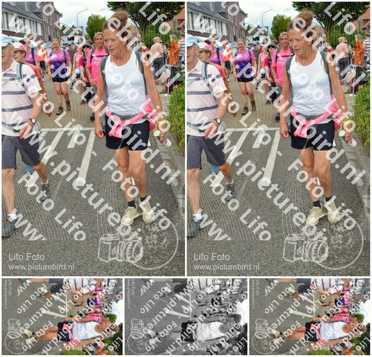 Evenement foto: Nijmeegse Vierdaagse 938