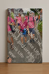 Evenement foto: Nijmeegse Vierdaagse 938