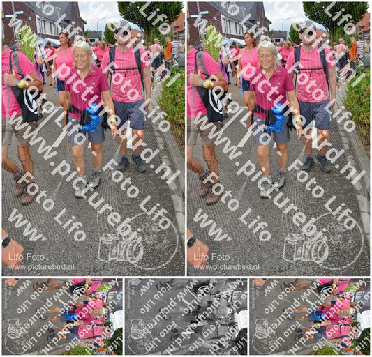 Evenement foto: Nijmeegse Vierdaagse 938