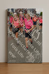 Evenement foto: Nijmeegse Vierdaagse 938