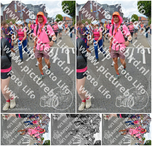 Evenement foto: Nijmeegse Vierdaagse 938