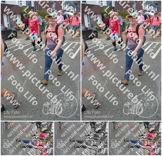 Evenement foto: Nijmeegse Vierdaagse 938