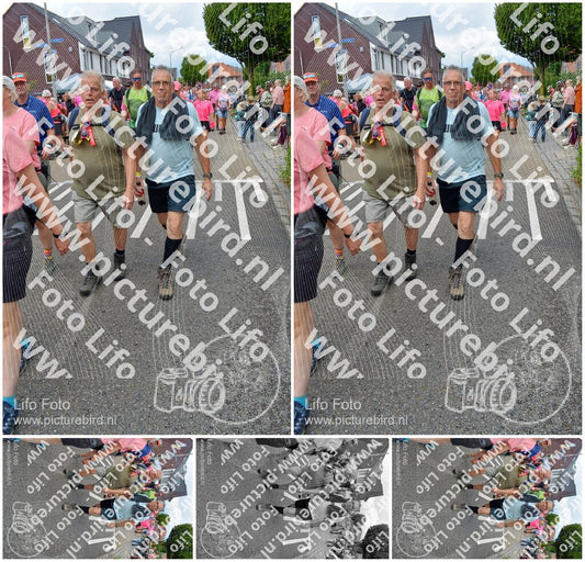 Evenement foto: Nijmeegse Vierdaagse 938