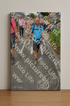 Evenement foto: Nijmeegse Vierdaagse 938