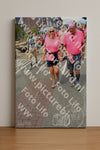 Evenement foto: Nijmeegse Vierdaagse 938