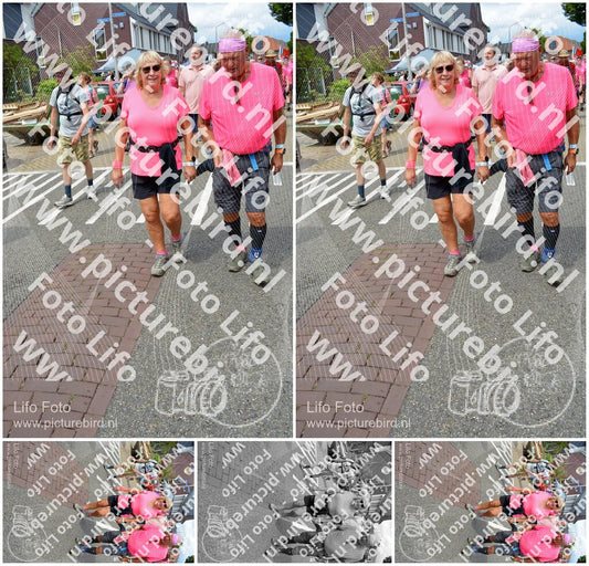 Evenement foto: Nijmeegse Vierdaagse 938