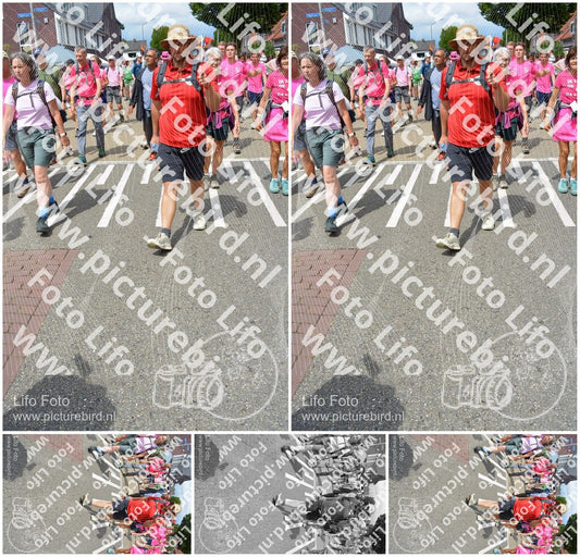 Evenement foto: Nijmeegse Vierdaagse 938