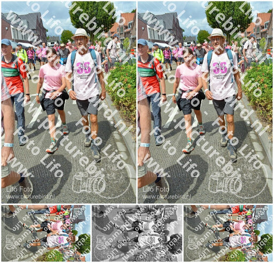 Evenement foto: Nijmeegse Vierdaagse 938