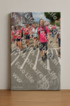 Evenement foto: Nijmeegse Vierdaagse 938