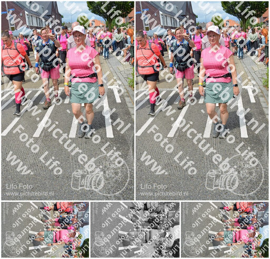 Evenement foto: Nijmeegse Vierdaagse 938