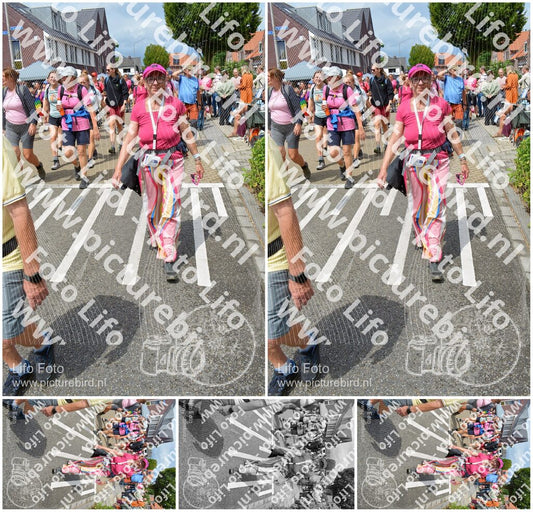 Evenement foto: Nijmeegse Vierdaagse 938