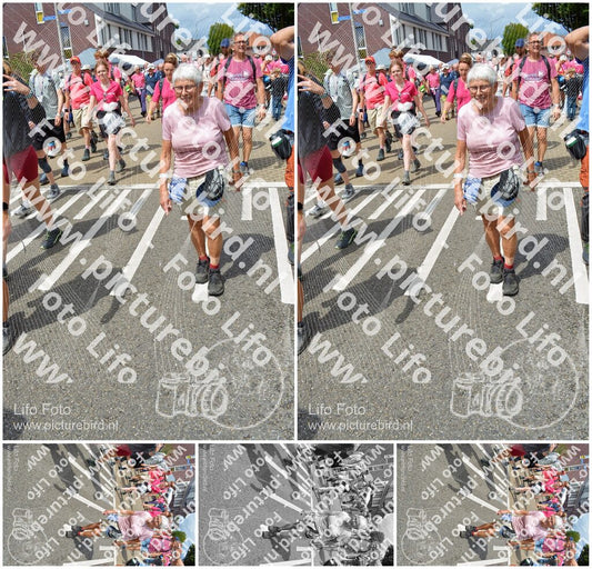 Evenement foto: Nijmeegse Vierdaagse 938