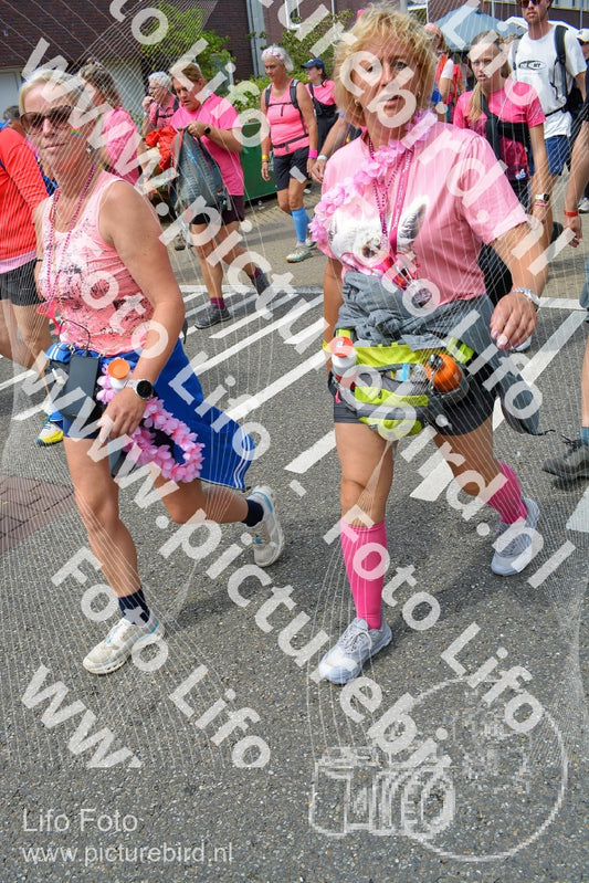 Evenement foto: Nijmeegse Vierdaagse 938