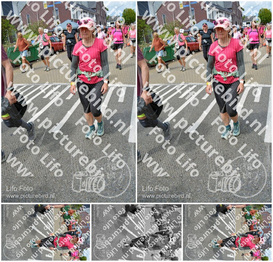 Evenement foto: Nijmeegse Vierdaagse 938
