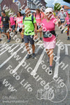 Evenement foto: Nijmeegse Vierdaagse 938