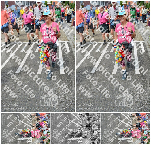 Evenement foto: Nijmeegse Vierdaagse 938