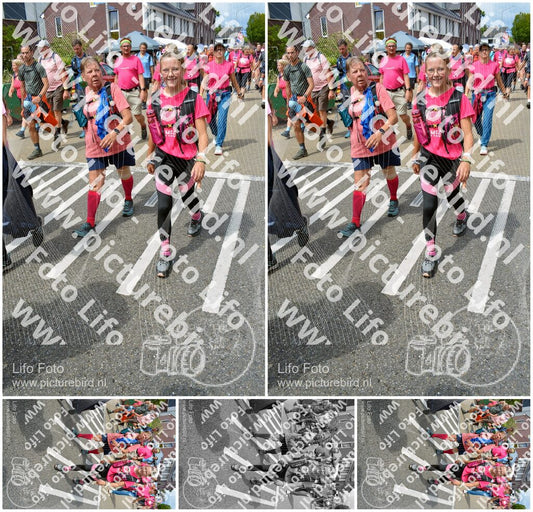 Evenement foto: Nijmeegse Vierdaagse 938