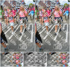 Evenement foto: Nijmeegse Vierdaagse 938