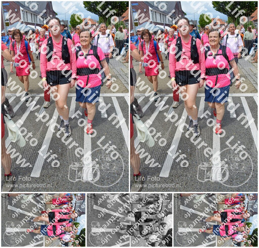 Evenement foto: Nijmeegse Vierdaagse 938