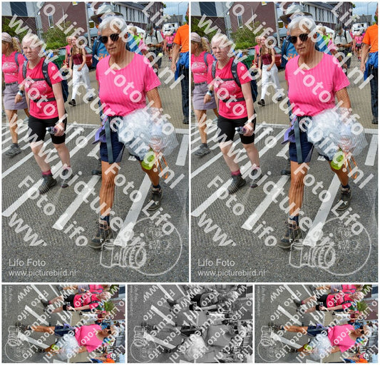Evenement foto: Nijmeegse Vierdaagse 938