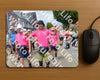 Evenement foto: Nijmeegse Vierdaagse 938