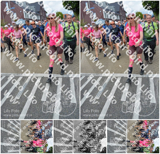 Evenement foto: Nijmeegse Vierdaagse 938