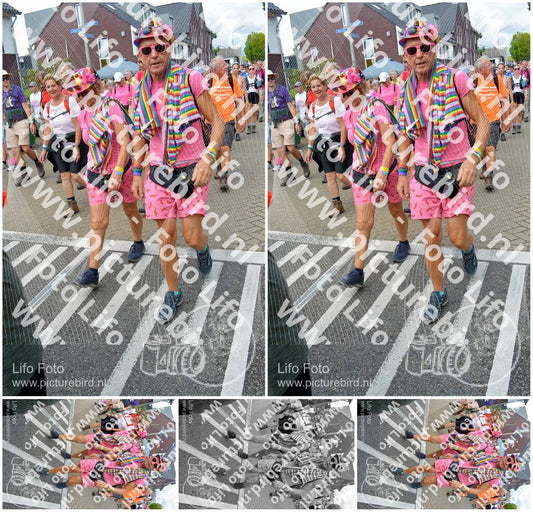 Evenement foto: Nijmeegse Vierdaagse 938