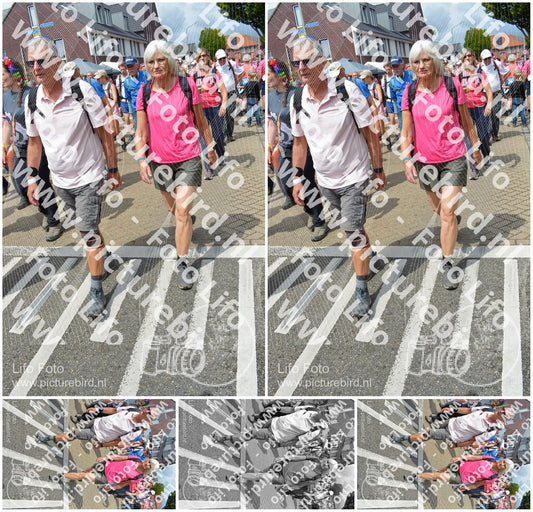 Evenement foto: Nijmeegse Vierdaagse 938