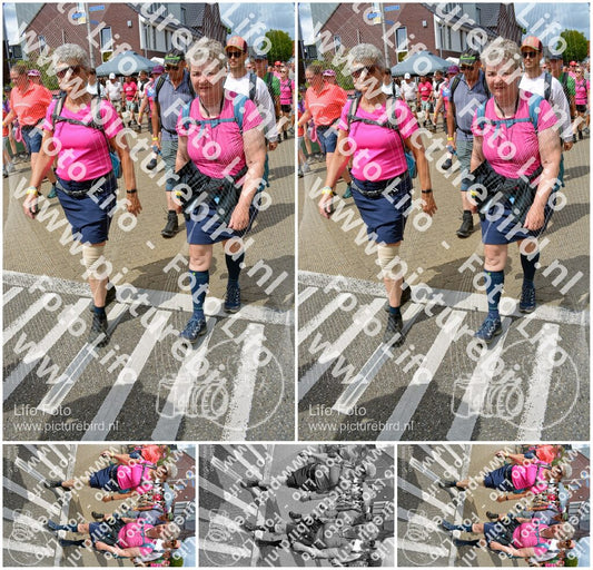 Evenement foto: Nijmeegse Vierdaagse 938