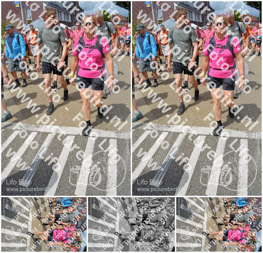 Evenement foto: Nijmeegse Vierdaagse 938