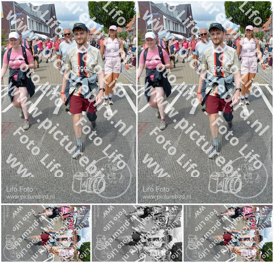 Evenement foto: Nijmeegse Vierdaagse 938