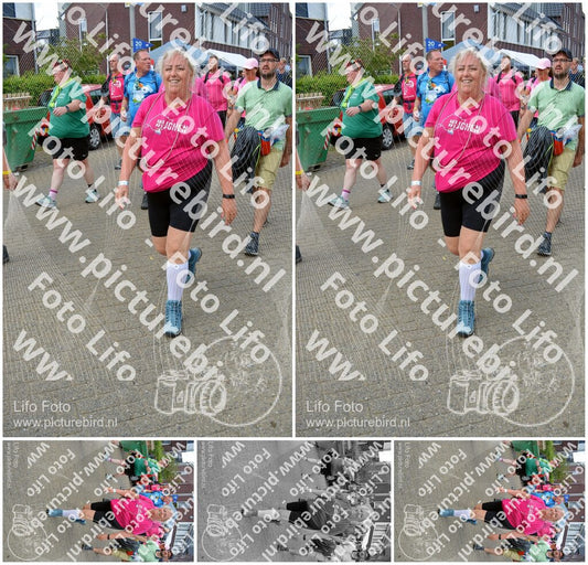 Evenement foto: Nijmeegse Vierdaagse 937