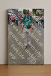 Evenement foto: Nijmeegse Vierdaagse 937
