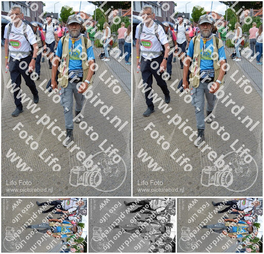 Evenement foto: Nijmeegse Vierdaagse 937