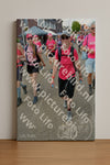 Evenement foto: Nijmeegse Vierdaagse 937