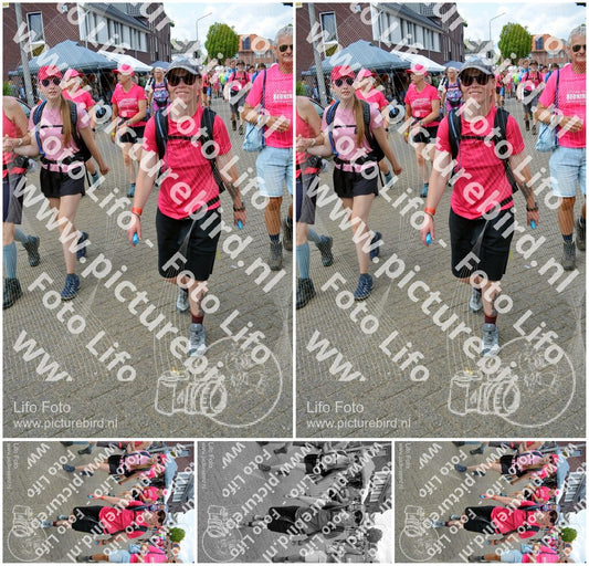Evenement foto: Nijmeegse Vierdaagse 937