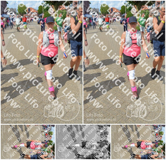 Evenement foto: Nijmeegse Vierdaagse 937