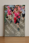Evenement foto: Nijmeegse Vierdaagse 937