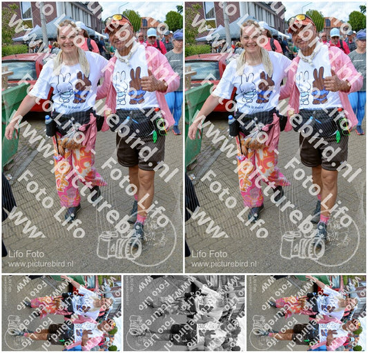 Evenement foto: Nijmeegse Vierdaagse 937