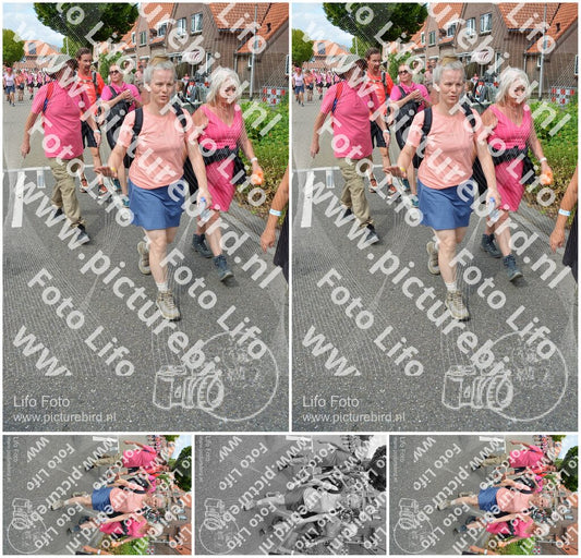 Evenement foto: Nijmeegse Vierdaagse 937