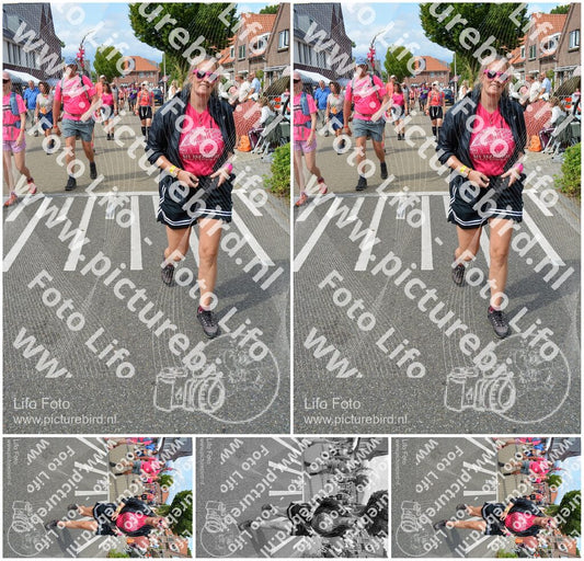 Evenement foto: Nijmeegse Vierdaagse 937