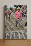 Evenement foto: Nijmeegse Vierdaagse 937