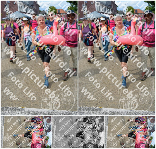 Evenement foto: Nijmeegse Vierdaagse 937