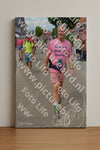 Evenement foto: Nijmeegse Vierdaagse 937