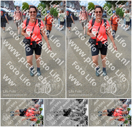 Evenement foto: Nijmeegse Vierdaagse 937